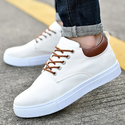 Men Shoes Canvas Sneakers Flats Lace up Leisure Loafers Fashion Comfort Rubber Sole Non Slip Sneakers 45 45 47 48 Large Size